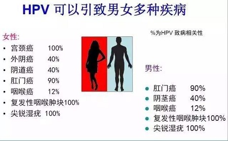 宫颈癌和男人有关系吗图片